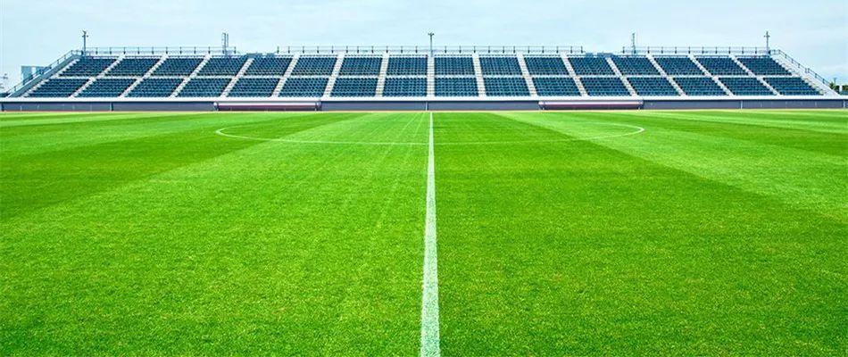  多特蒙德主场草皮更换计划